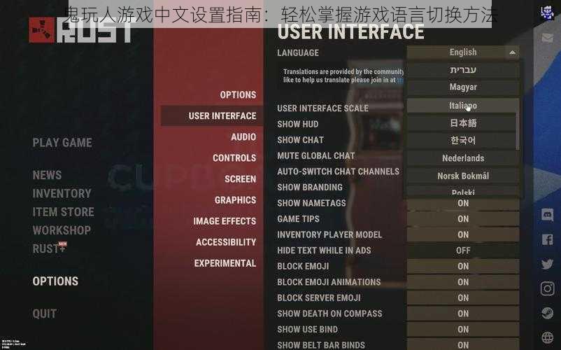 鬼玩人游戏中文设置指南：轻松掌握游戏语言切换方法