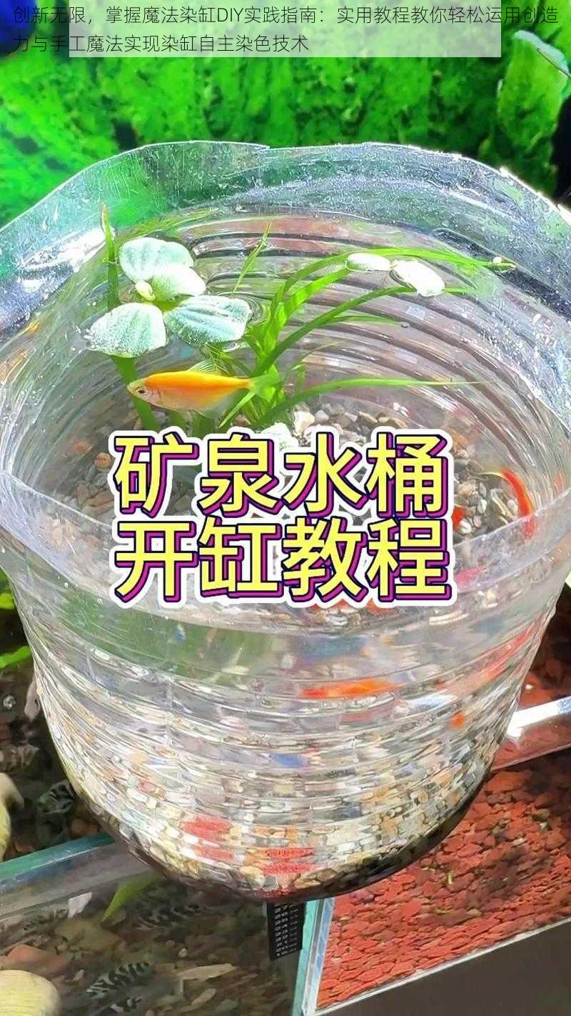 创新无限，掌握魔法染缸DIY实践指南：实用教程教你轻松运用创造力与手工魔法实现染缸自主染色技术