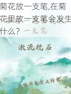 菊花放一支笔,在菊花里放一支笔会发生什么？