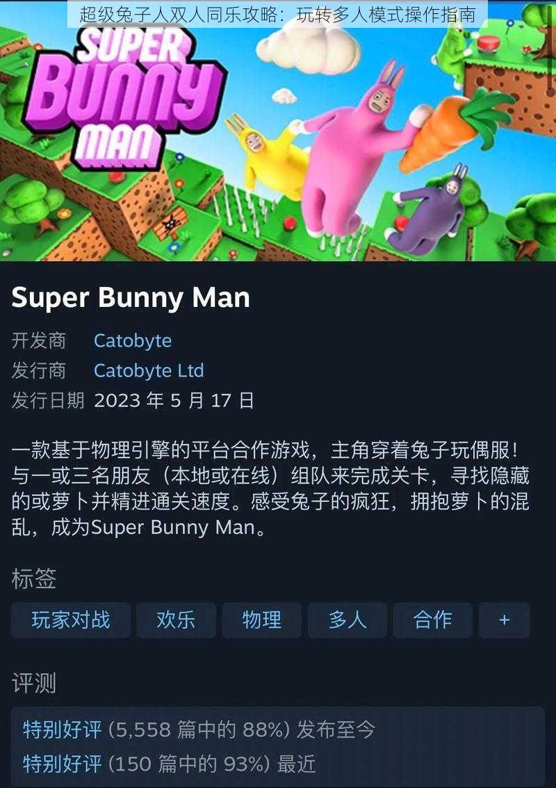 超级兔子人双人同乐攻略：玩转多人模式操作指南