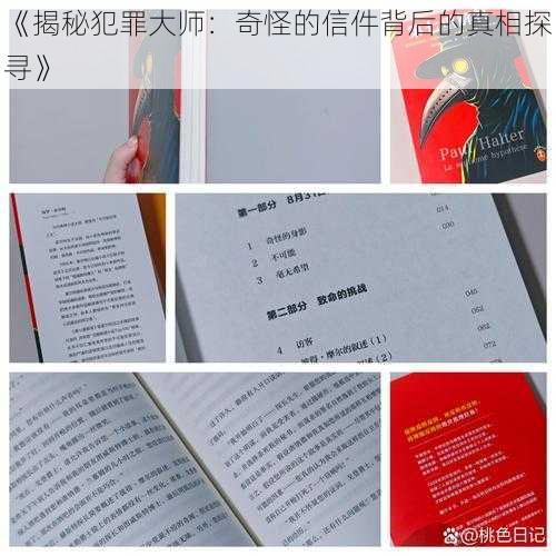 《揭秘犯罪大师：奇怪的信件背后的真相探寻》