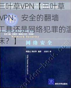 三叶草VPN【三叶草 VPN：安全的翻墙工具还是网络犯罪的温床？】