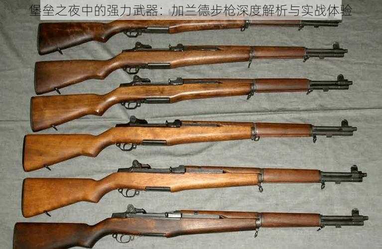 堡垒之夜中的强力武器：加兰德步枪深度解析与实战体验