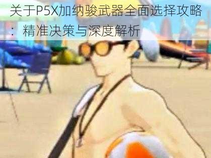 关于P5X加纳骏武器全面选择攻略：精准决策与深度解析