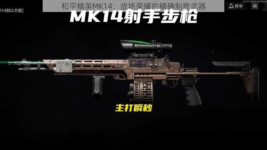 和平精英MK14：战场荣耀的精确制胜武器