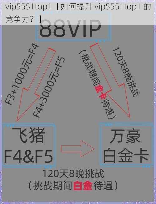 vip5551top1【如何提升 vip5551top1 的竞争力？】