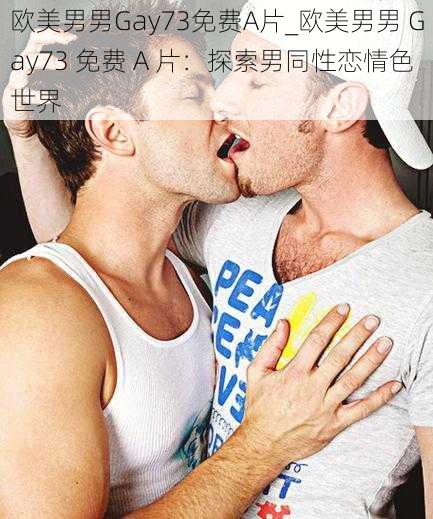 欧美男男Gay73免费A片_欧美男男 Gay73 免费 A 片：探索男同性恋情色世界