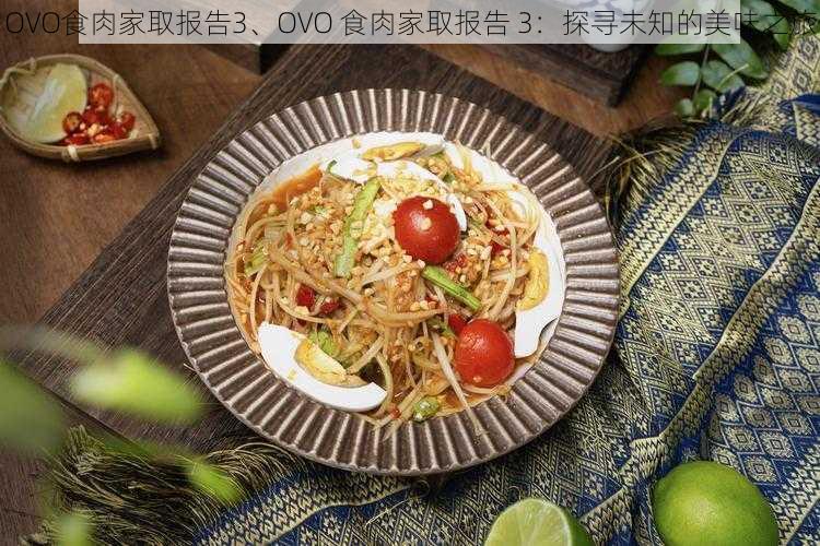 OVO食肉家取报告3、OVO 食肉家取报告 3：探寻未知的美味之旅