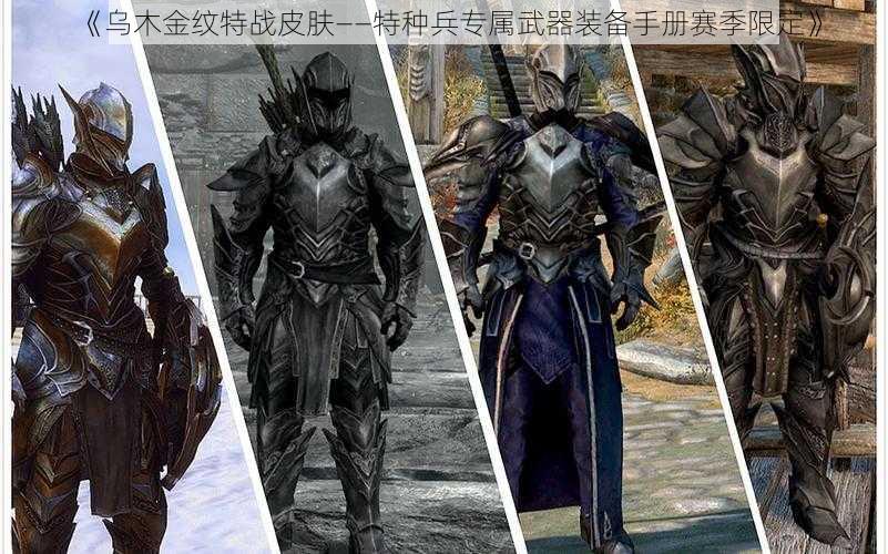 《乌木金纹特战皮肤——特种兵专属武器装备手册赛季限定》