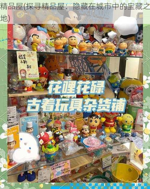 精品屋(探寻精品屋：隐藏在城市中的宝藏之地)