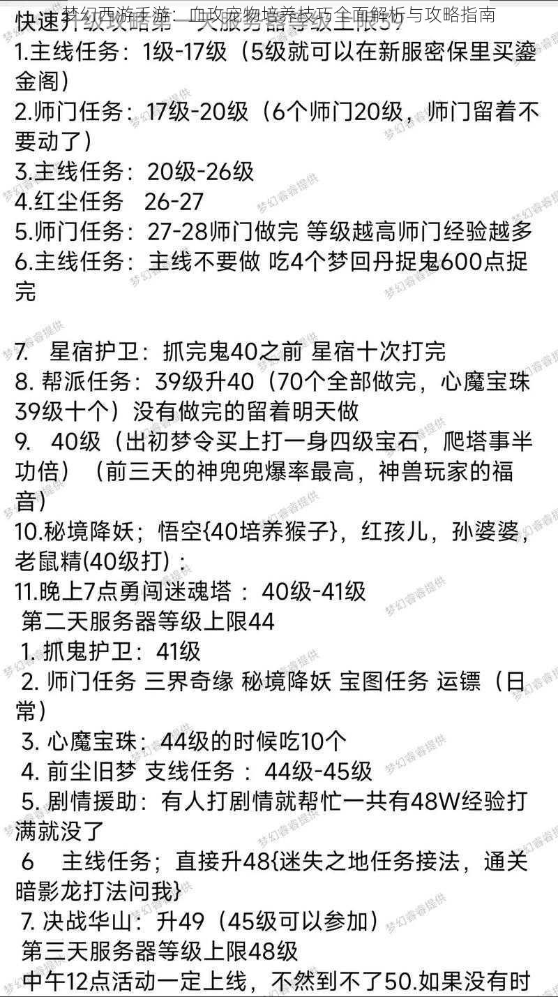 梦幻西游手游：血攻宠物培养技巧全面解析与攻略指南