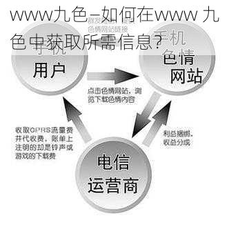 www九色—如何在www 九色中获取所需信息？