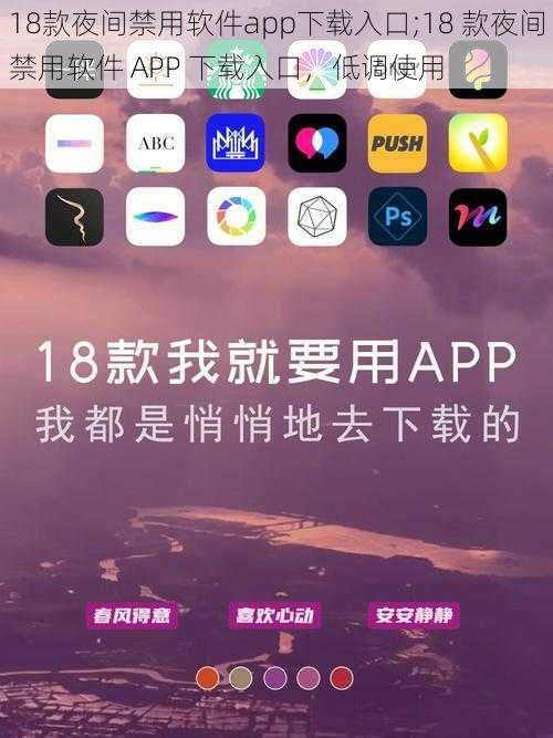 18款夜间禁用软件app下载入口;18 款夜间禁用软件 APP 下载入口，低调使用