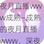 夜月直播www成熟—成熟的夜月直播 www，深夜释放你的激情