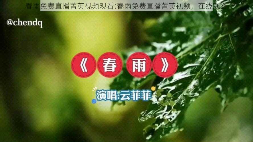 春雨免费直播菁英视频观看;春雨免费直播菁英视频，在线观看