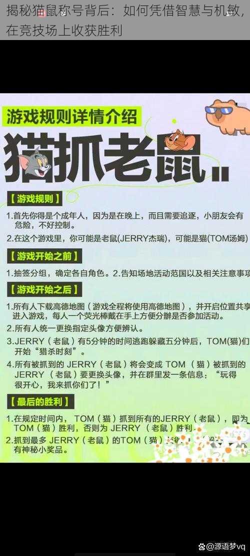 揭秘猫鼠称号背后：如何凭借智慧与机敏，在竞技场上收获胜利