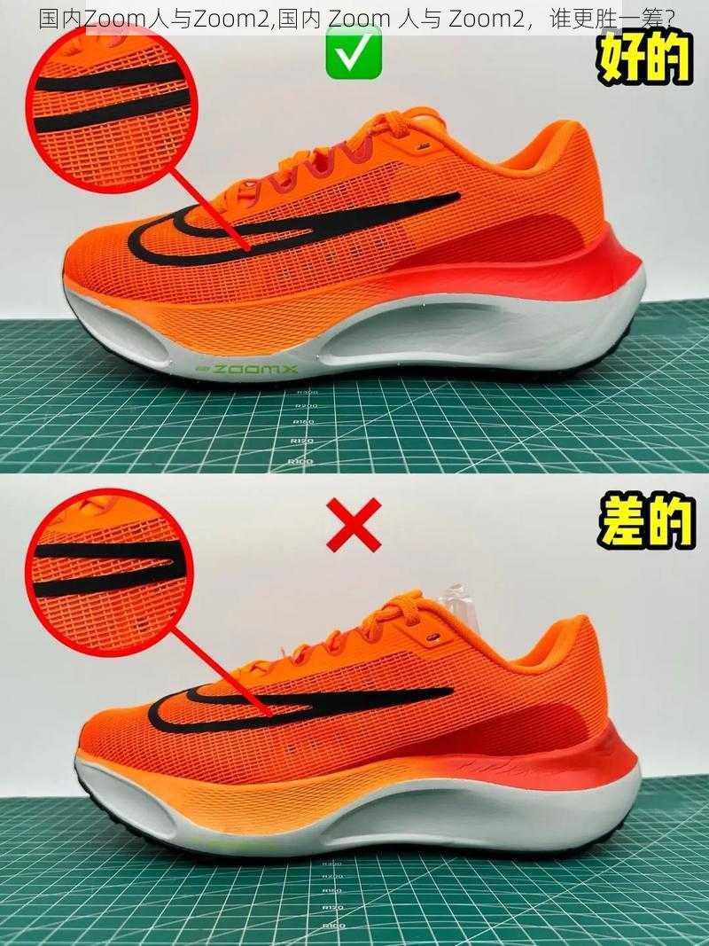 国内Zoom人与Zoom2,国内 Zoom 人与 Zoom2，谁更胜一筹？