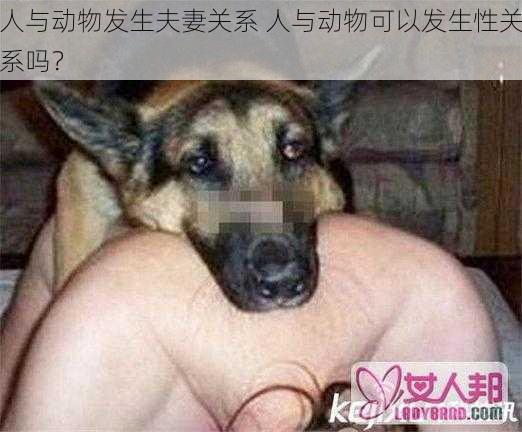 人与动物发生夫妻关系 人与动物可以发生性关系吗？