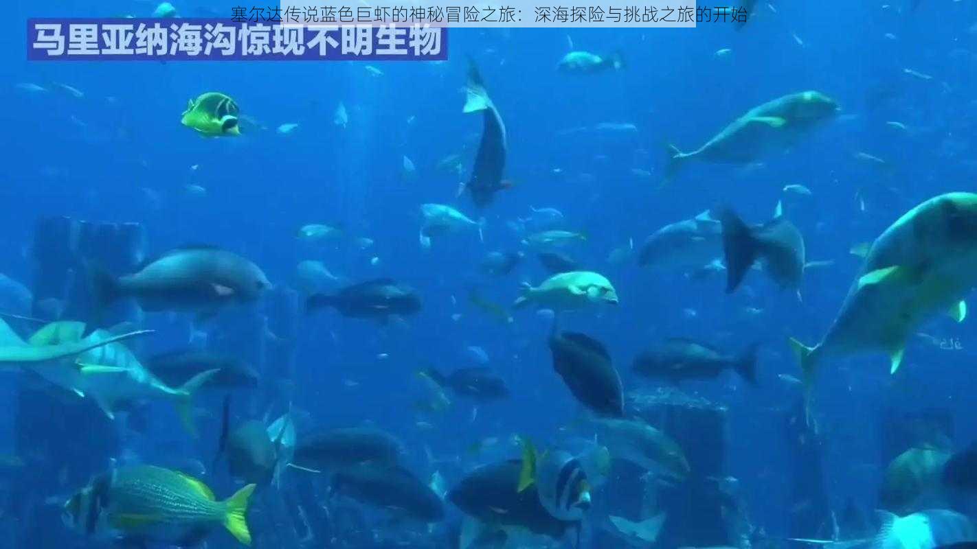 塞尔达传说蓝色巨虾的神秘冒险之旅：深海探险与挑战之旅的开始