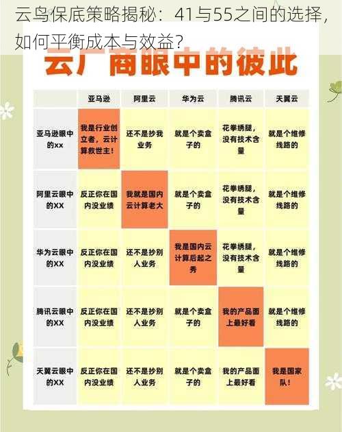 云鸟保底策略揭秘：41与55之间的选择，如何平衡成本与效益？