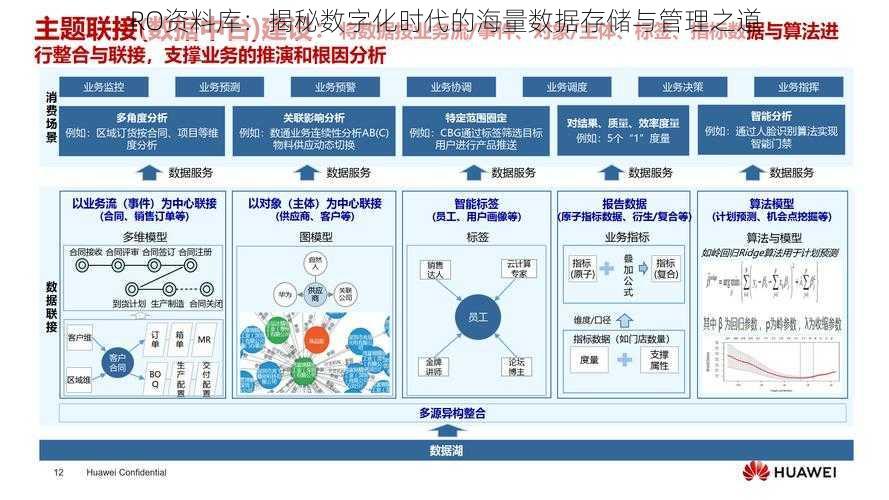 RO资料库：揭秘数字化时代的海量数据存储与管理之道