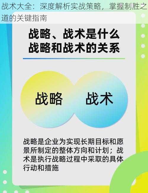 战术大全：深度解析实战策略，掌握制胜之道的关键指南