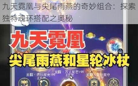 九天霓凰与尖尾雨燕的奇妙组合：探索独特魂环搭配之奥秘