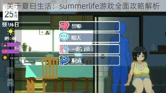 关于夏日生活：summerlife游戏全面攻略解析