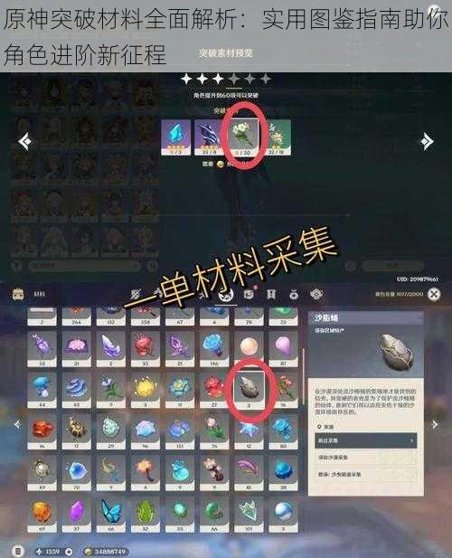 原神突破材料全面解析：实用图鉴指南助你角色进阶新征程