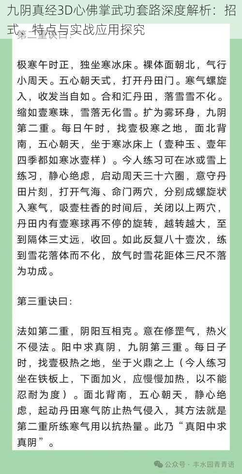 九阴真经3D心佛掌武功套路深度解析：招式、特点与实战应用探究