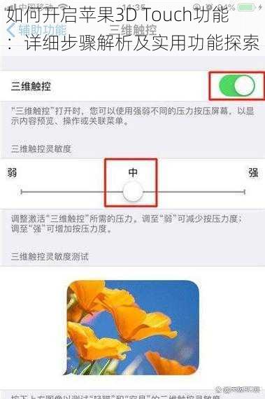 如何开启苹果3D Touch功能：详细步骤解析及实用功能探索