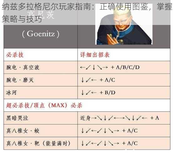 纳兹多拉格尼尔玩家指南：正确使用图鉴，掌握策略与技巧