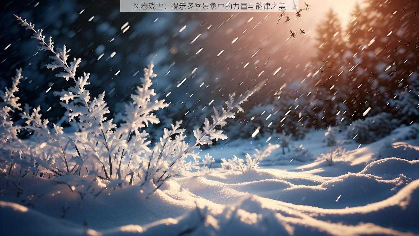 风卷残雪：揭示冬季景象中的力量与韵律之美